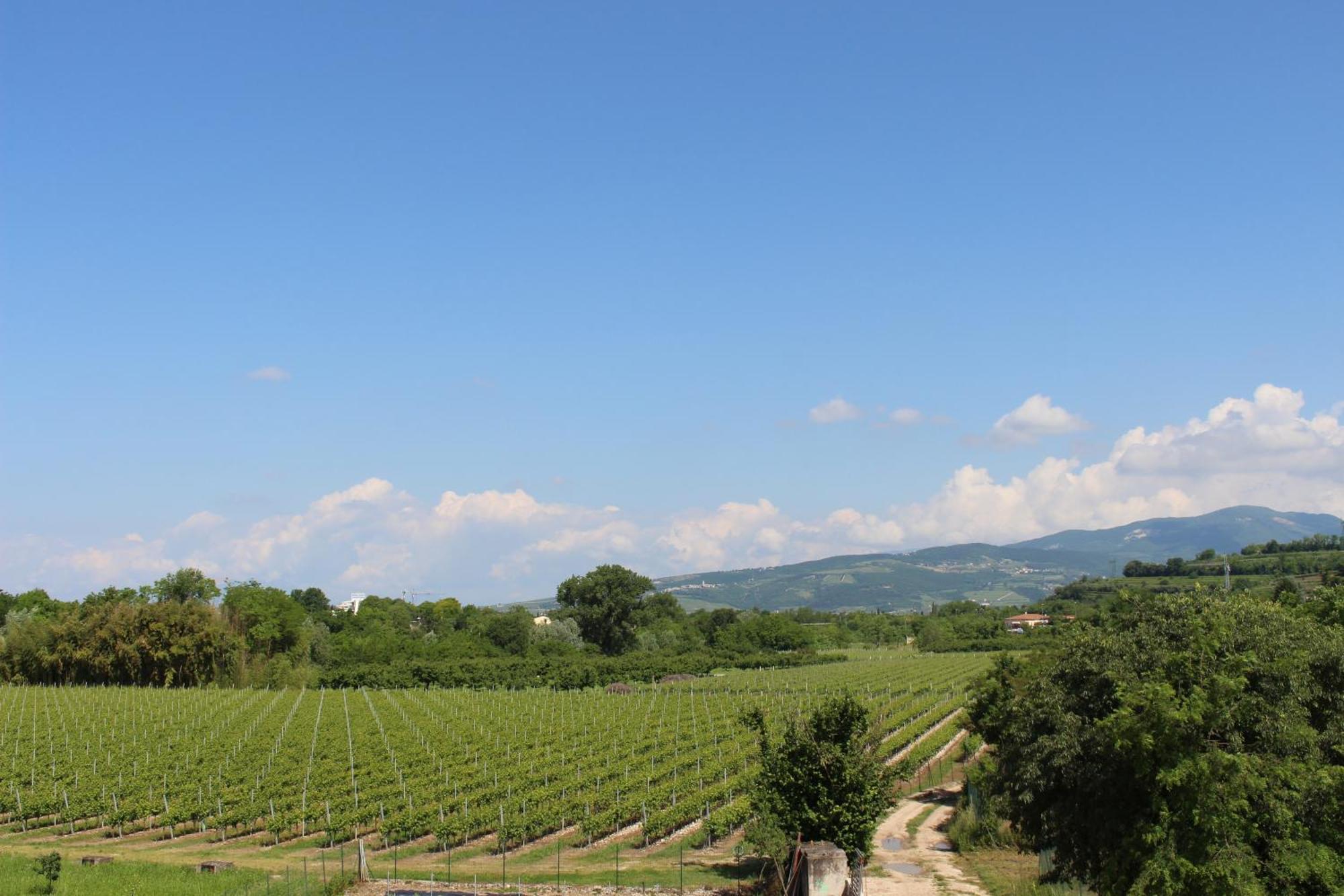 Bed And Breakfast Ca Tognella Pescantina Exterior photo